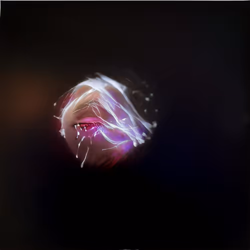 Item #84457744602723809043049191225279009657327463478214710277063869876768709017601 Media