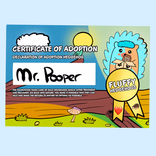 Item #82568299303928421953913761626182899451350454358972335949111842600497105076225 Media