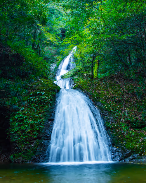 Item #67939412302890938501542439666874695594271992437598486221987910517208043749377 Media