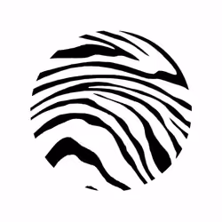 Lost in Stripes #10