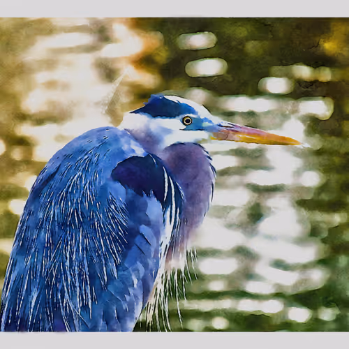 55704534837685659622621715309832868758345944585427688586690141379479971299329