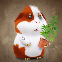 67828453090534394616700294383444395072775898889081391609707730902482941902849