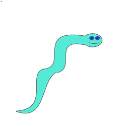 Swimmer #30