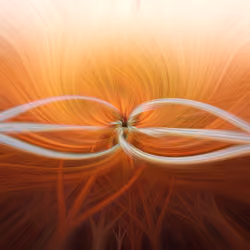 Orange feeling