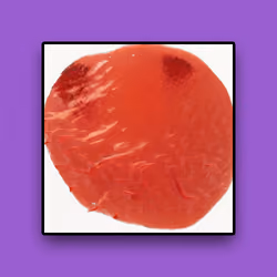 DigiArts #50