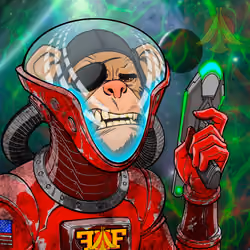 Funky Monkey Space Force #173