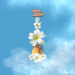 Introvert bird in personal space