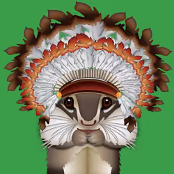 Squirel sample 1