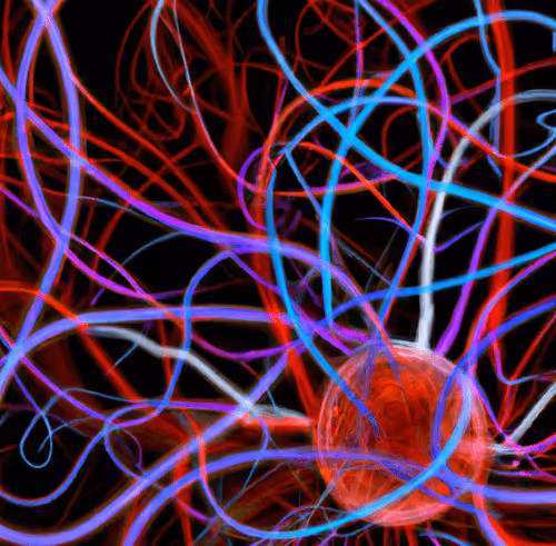 Item #33293457058661275056775848170303775746271351105386188312509916060941172080641 Media