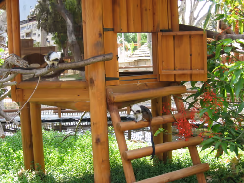 Item #49780404214023394125628081485635193078207366864253774489702248346599798341633 Media