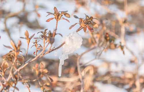 Item #56287295829887504958862107058149038286908875218999637654997635490743725326337 Media