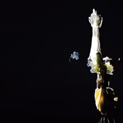 Creative #6