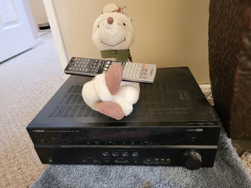 Untitled Collection #115659874