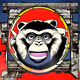 #00441 cozmic monkey