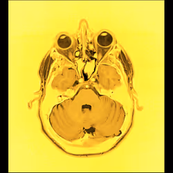 64162533542198579898252916190583583845604629893829087458582976051456738590721