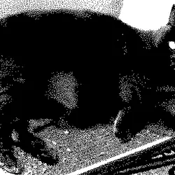 CAT in SEPIA