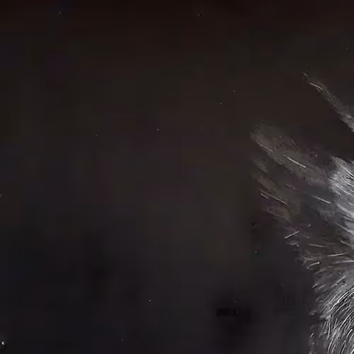 Item #88627430874261044386564198870755246849770951294062585255572361104824150786049 Media