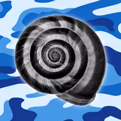 warSHELL
