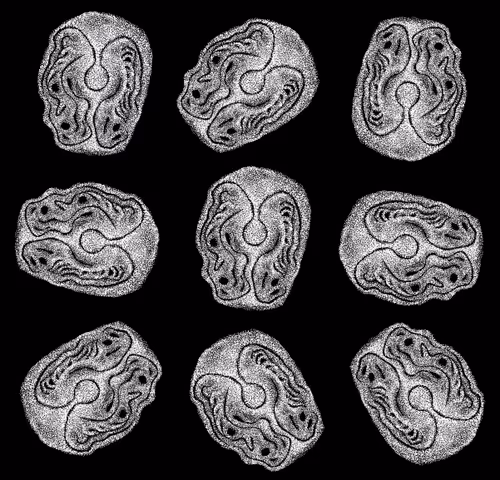 Item #48216677678887992956199146050101977369740452437452834237877791421207190437889 Media