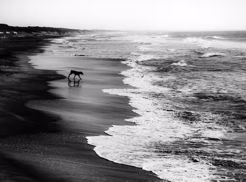 Item #98974963297516184220880891014811811969374673831305614859887169170329487540229 Media