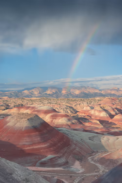 Item #39071023685345521589531013450918722216572370939070752972983331703699435159553 Media