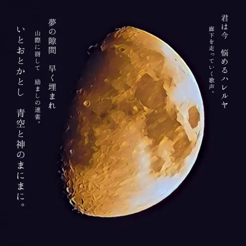 Item #49543221765173905469086434254543082575420429147691128671322516164812235341825 Media