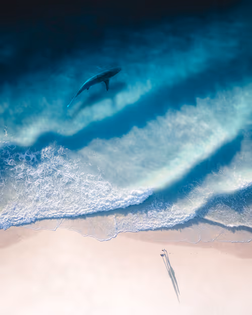 Item #83054766924673444604816267722836446190314772138657067753201581563992495620097 Media