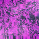 32805701653253990260705347969260576824906417399306344119278787343562064265226