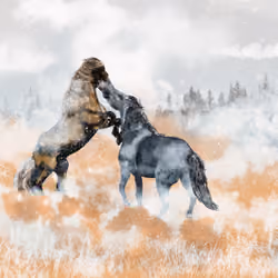 Winter horses