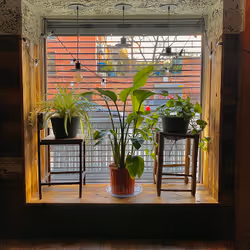 83408267508132833456682495211820804283305655612987816864939849103141658165249