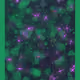 27557916680240833959492384845003306974205721298080860245342123030568522219521