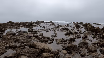 Item #82527419430776432677609198489525539692500095051269265648102109205640612151297 Media