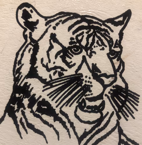Tigre 