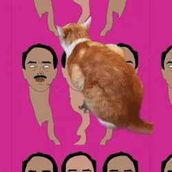 Arnold Roll