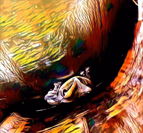 Item #81269833061274051173789884418282317830923519221172308843662164498863259385857 Media