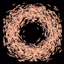 Color Ring #8