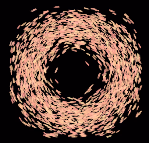 Item #104267180245963142467882640604840905866379277123728132781381059025281054932993 Media