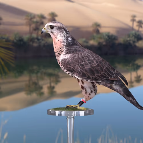 5362693153686757663037229957776630052012240176014263673100968384984573280257