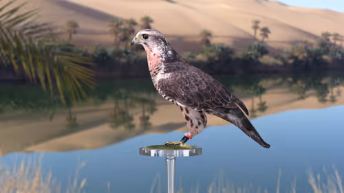 Item #5362693153686757663037229957776630052012240176014263673100968384984573280257 Media