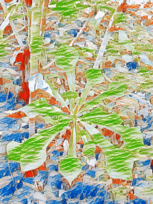 Item #69261177602478584146078213691104273677815526894191982293268528011274000269313 Media