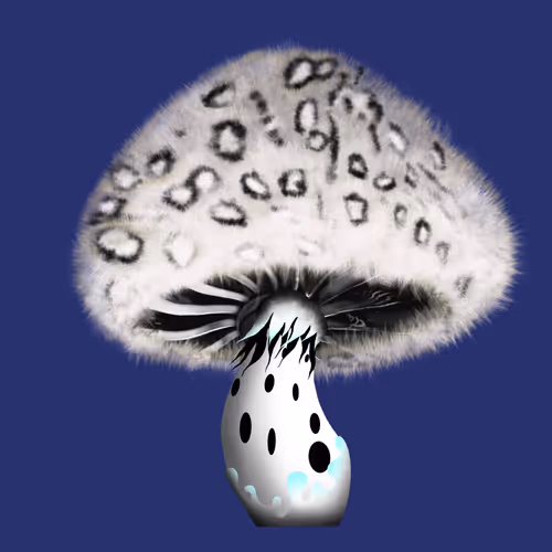 Item #46034849265832991985054005845495595569977159826723230396281255894420027342849 Media