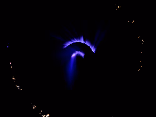 Item #45731211464929816441170859700976373292149702980452148839612468955605656141825 Media