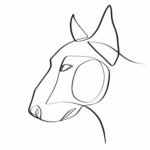 Animal Originals