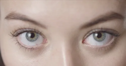 Item #114091279957330982022734478648167430968491445987545800607311341328116236681217 Media