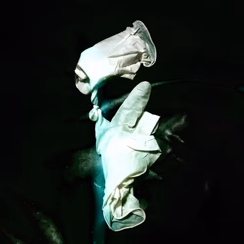 Item #19579465332489047460725573155417411555821182543570600011556976588393426190337 Media