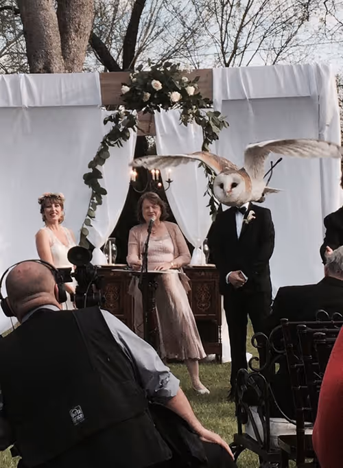 Item #10084359296818805900754201527705818084657327747605854224485982343798779281418 Media