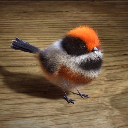 Black-tgroated_Tit