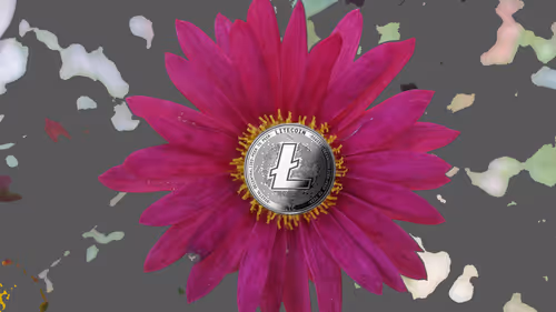 Item #84817653643574440536575130473169128135848323213030537748053031104121814384641 Media