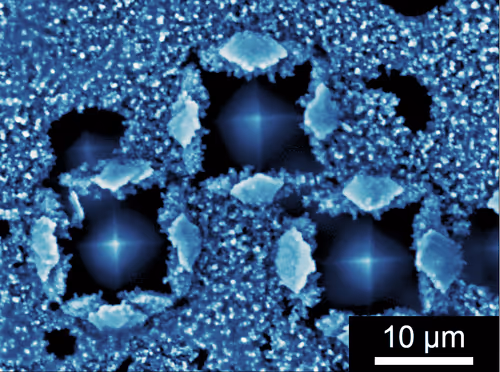 Item #88425369129469894980589771095889463825406609439564309002072926004900349870081 Media