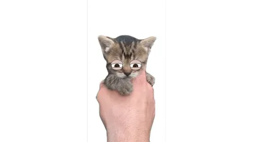 Item #19399801888971579922763152523268562981868588323803922674309195684527556526081 Media